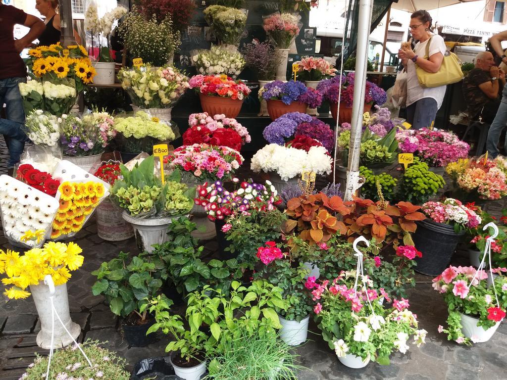 Campofiori Διαμέρισμα Ρώμη Εξωτερικό φωτογραφία