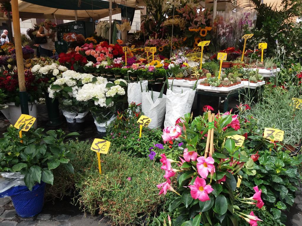 Campofiori Διαμέρισμα Ρώμη Εξωτερικό φωτογραφία