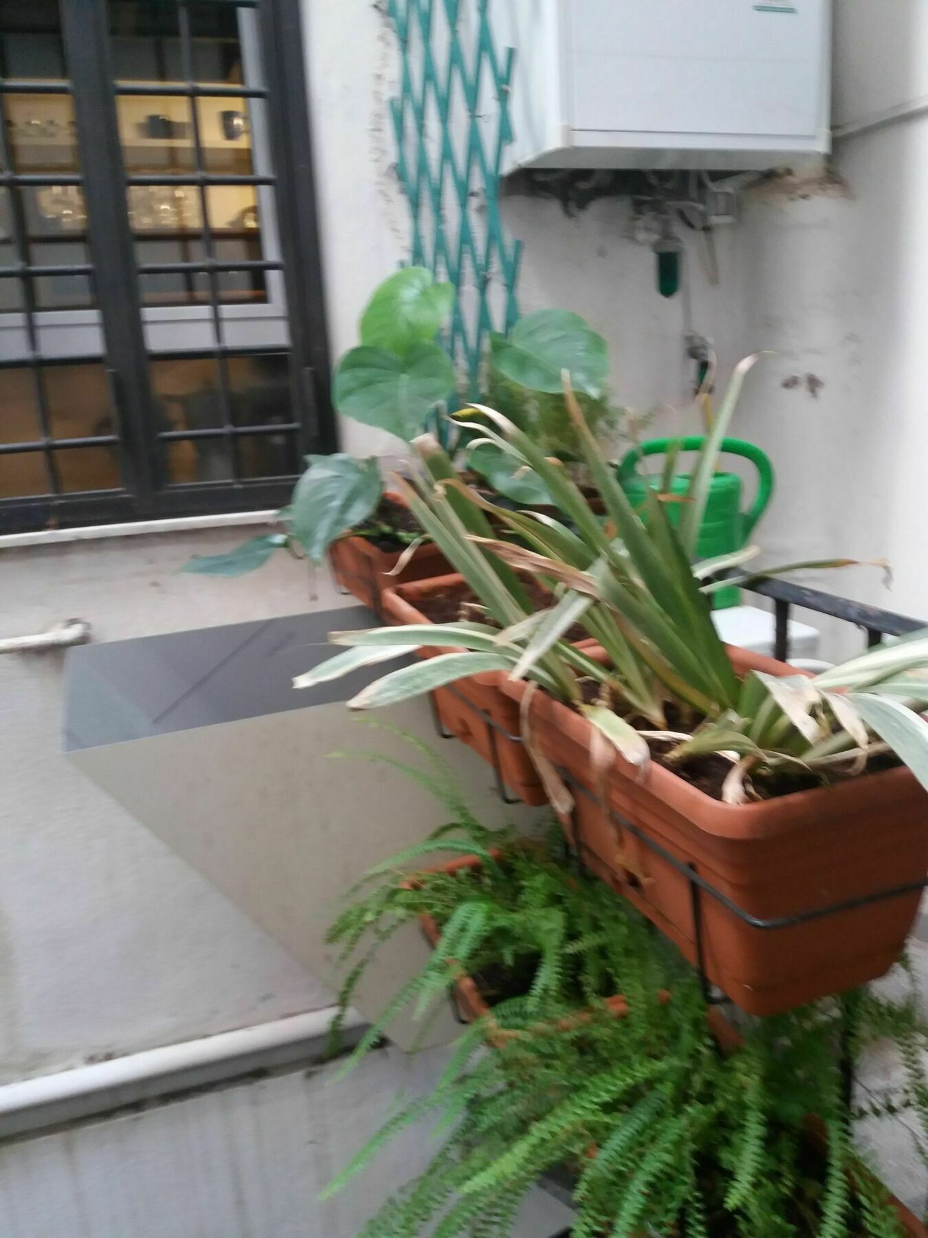 Campofiori Διαμέρισμα Ρώμη Εξωτερικό φωτογραφία